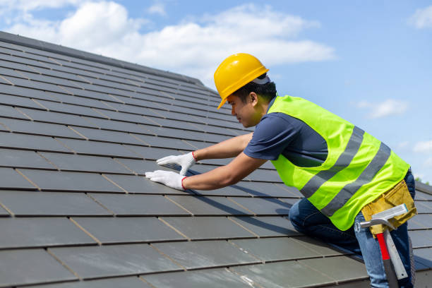 Best Roof Gutter Cleaning  in Glassport, PA